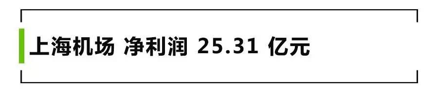 2015 年上海國際機(jī)場股份有限公司實現(xiàn)凈利潤 25.31 億元