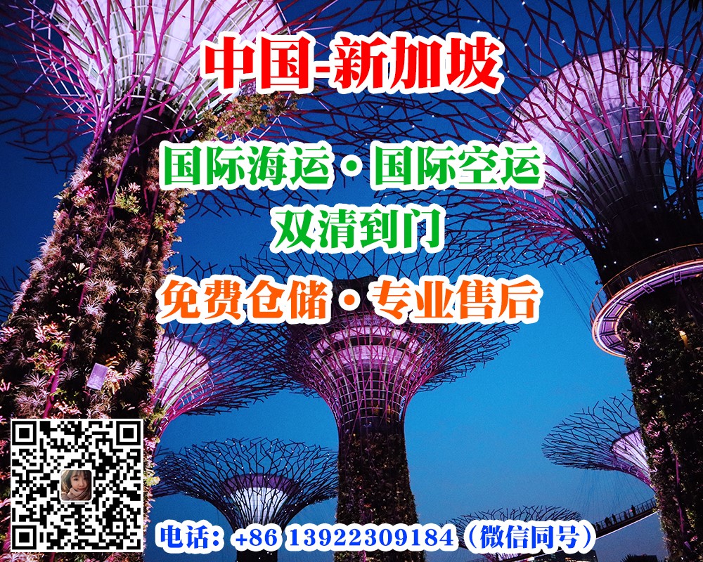 中國(guó)至新加坡整柜海運(yùn)散貨拼箱海運(yùn)門到門服務(wù)