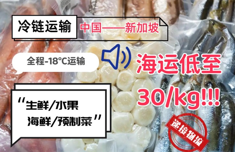 冷凍食品海運(yùn)新加坡