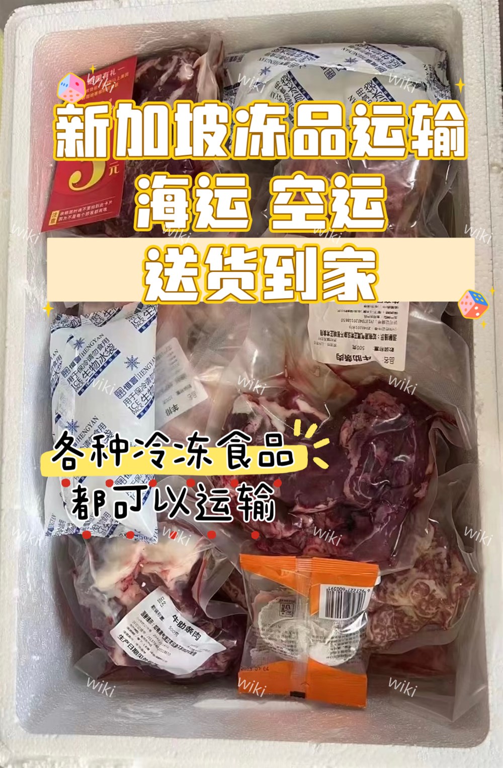 冷凍食品到新加坡海運